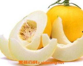 月子里吃伊丽莎白瓜,伊丽莎白瓜助力产后营养恢复