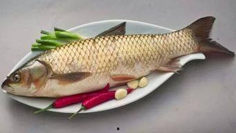 哈密瓜能和鱼一起吃吗,哈密瓜与鱼同食的饮食搭配探讨